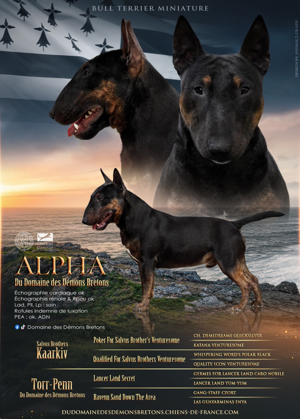Alpha Du Domaine Des Démons Bretons